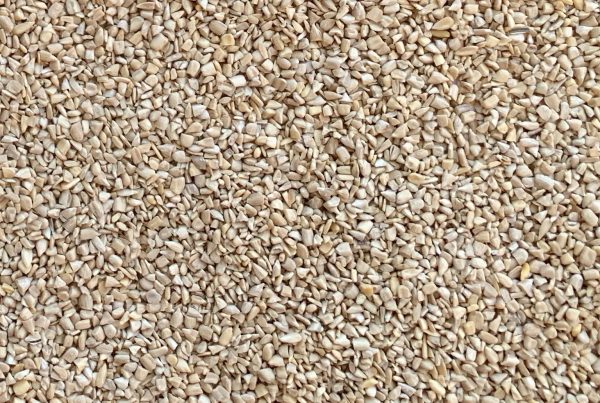 Снимка на слънчогледов чипс